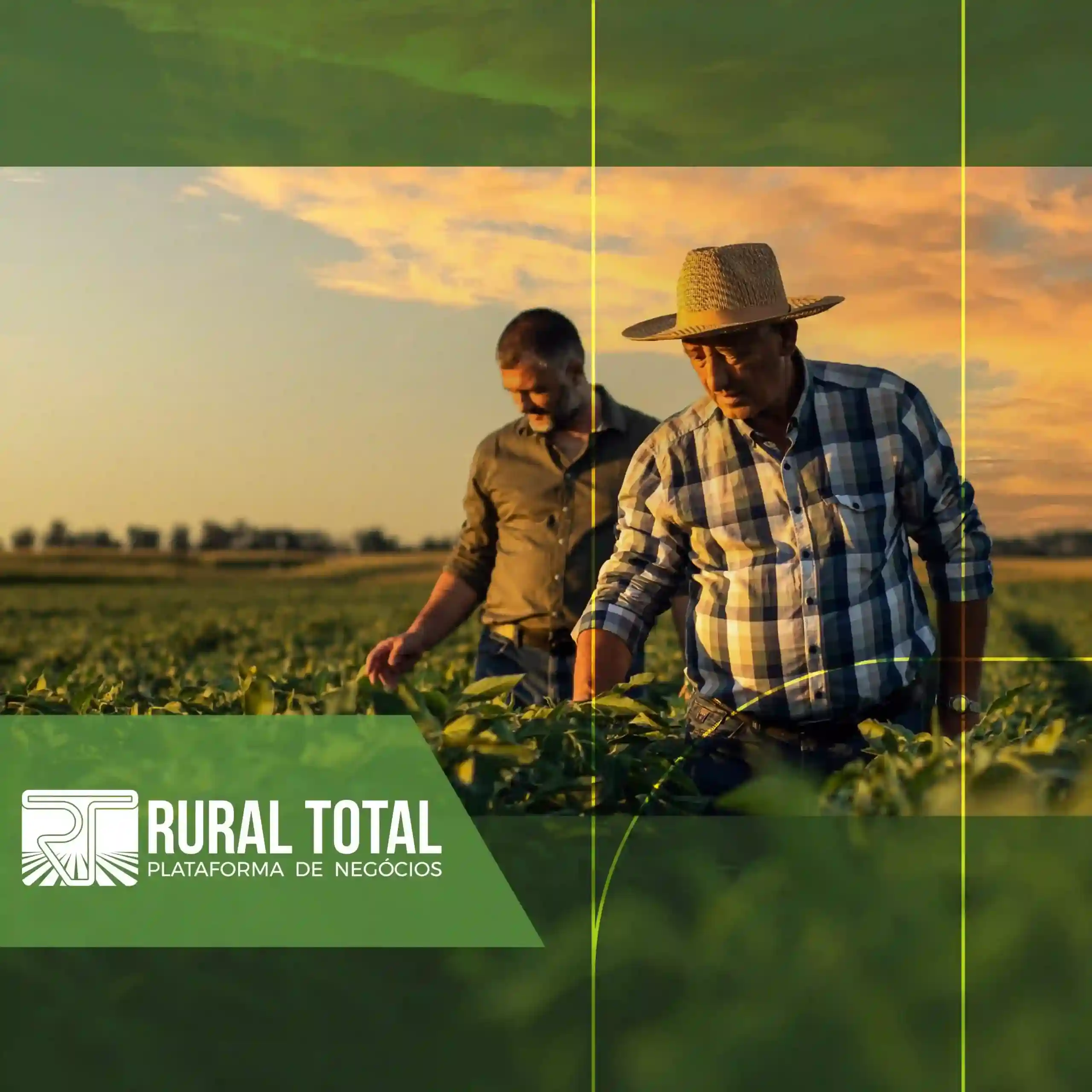 marketplace agro - Plataforma Rural Total